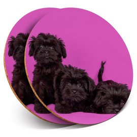 Destination Vinyl ltd 2 x MDF Glossy Top Coasters Round - Affenpinscher Black Dog Puppy 12466
