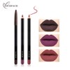 Lápiz Delineador de Labios, Conjunto de 12 Unidades NICEFACE, Delineador