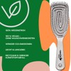 Nascita Eco Hair Brush, Detangling Brush without Pulling, for Women,