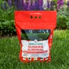 Jonathan Green (12011) Summer Survival Insect Control with Lawn Fertilizer
