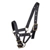 WALDHAUSEN Alpaca Headcollar, M, Black