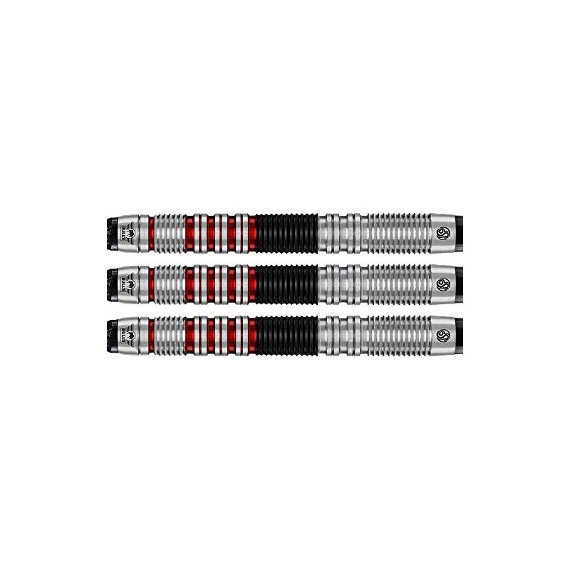 Bull's Soft Darts Bull's Powered by Shot Darts Max Hopp