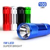 FASTPRO 20-Pack 100 Lumen Super Bright Aluminum LED Flashlights Set,
