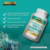 Nature's Lab Gold Plant-Based Omega-3-60 Liquid Capsules