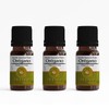 3 Aceites Esenciales de Orégano Puro ZELIHA, Origanum Onites, 15ml,