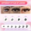 FANDIQ Individual Eyelashes 224PCS Natural Cluster Lashes D Curl Lashes