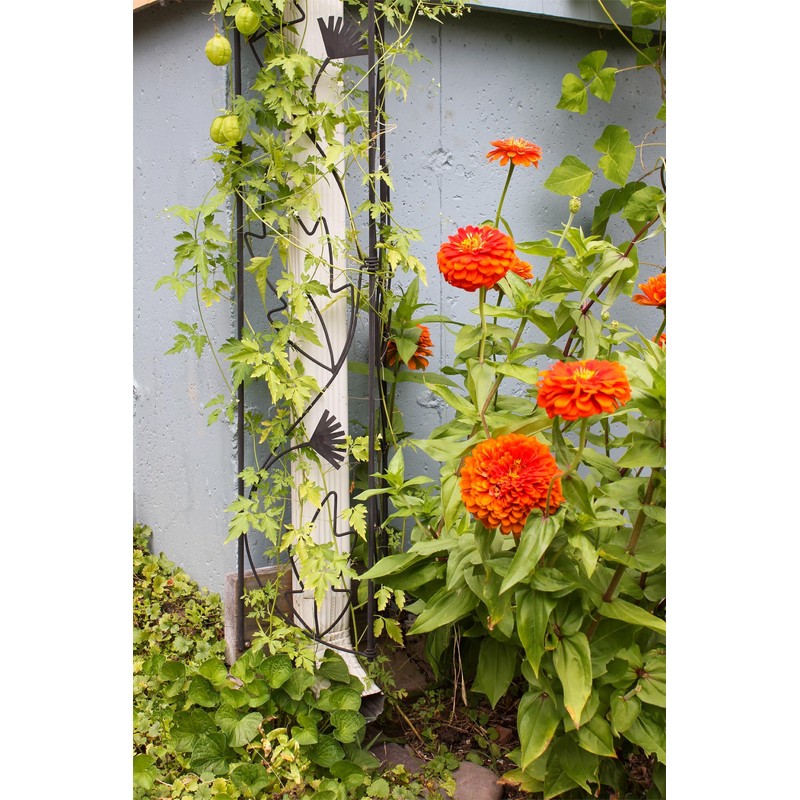 Achla Designs Downspout Wrought Iron Garden Trellis
