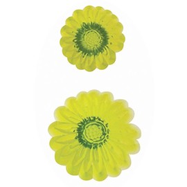 PME 103FF016 JEM Embossed Daisy Cutters, Set of 2, White, 7 x 3 x 15 cm
