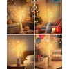 Kinamy LED Tree, Set of 3 Light Trees, 60 LEDs,
