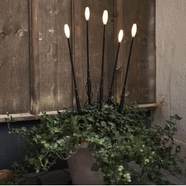 Star Trading Milky 475-27 LED Decorative Light 5 Sticks Black / White Plastic WW LED Approx. 50 cm High 5 m Long 5 m Cable Transformer Outdoor Four Colour Box