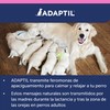 Adaptil Junior - Antistress for puppies - Adaptation to home,