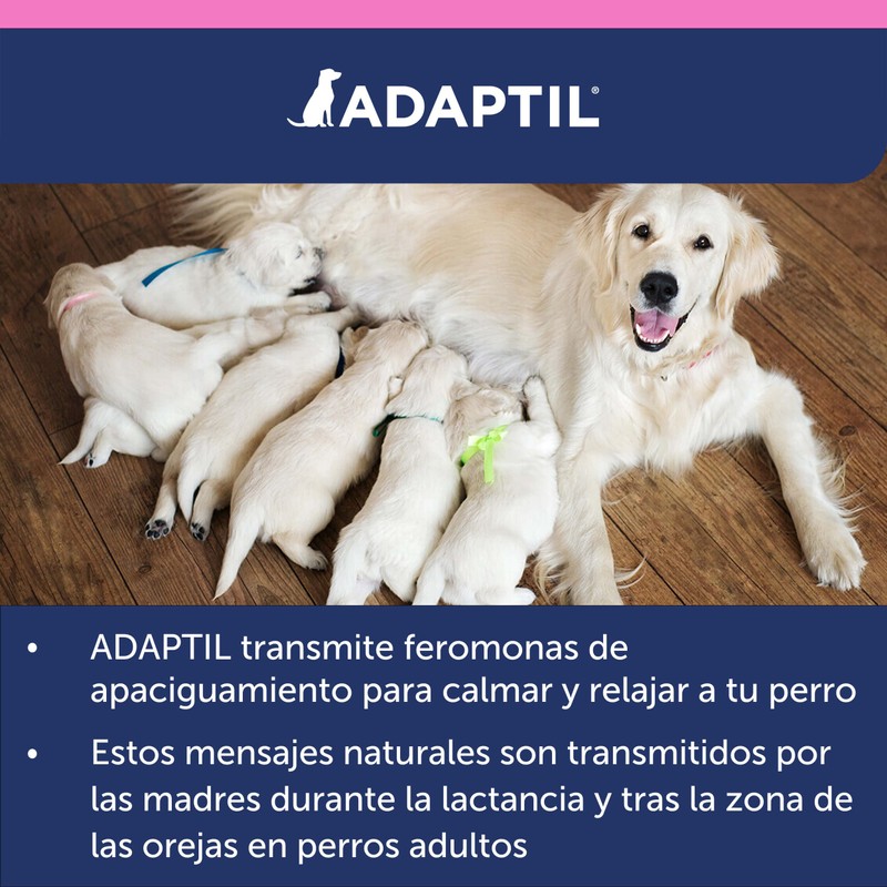 Adaptil Junior - Antistress for puppies - Adaptation to home,