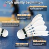 Training Badminton Racket Shuttlecock Set Physical Education Exercise Sports Equipment