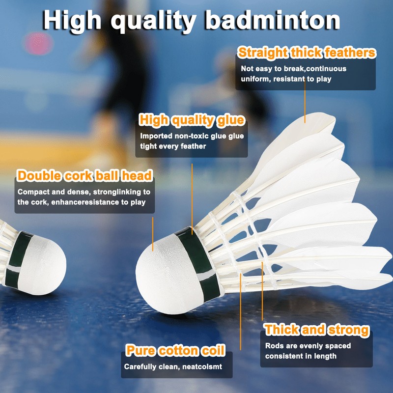 Training Badminton Racket Shuttlecock Set Physical Education Exercise Sports Equipment