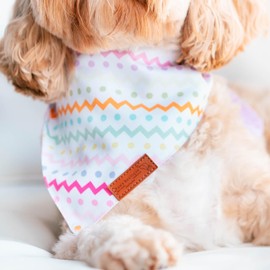 Paws Boutique Premium Dog Bandana/Scarf | Design: Always Happy | Reversible Dual Layered/Sided | Small, Medium & Large Pets | Unique Style | Accessories for Puppies & Dogs (L)