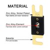 Heschen ANL Fuse ANL-70 70 Amp for Car Vehicles Audio