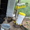 Idyfodol 4 Pcs Automatic Chicken Waterer Cups PVC Gravity-Switch No