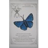 Blue Metalmark Butterfly Lasaia Sula Iron on or Sew on