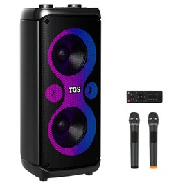 Karaoke Machine for Adults with 2 Wireless UHF Microphones, Dual 6.5" PA System for Party with Disco LED Lights, Portable Bluetooth Speakers & Kids, Supports for TF Card/USB, AUX in, FM, REC,TWS