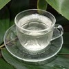 Kumasasa Tea 2.5 oz (70 g) (Postal Compatible Sizes) Kumasasa