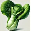 KIRA SEEDS - Seeds Bok Choy Chinese - Green Cabbage