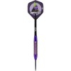 Bull's NL Steel Darts Dirk Van Duijvenbode Aubergenius Brass Steeltip