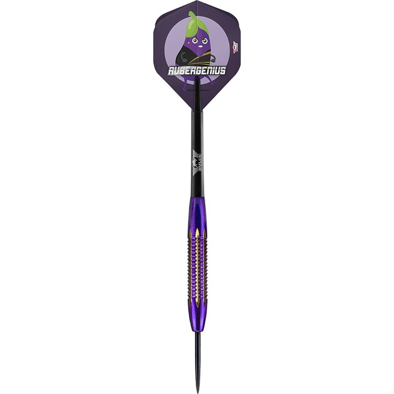 Bull's NL Steel Darts Dirk Van Duijvenbode Aubergenius Brass Steeltip