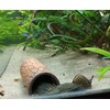 Plecoceramics Aquarium pleco breeding cave Fish Tank Decorations Small Size