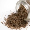 GranAroma Whole Celery Seeds, 8 oz, Sauces & Dry Rubs,