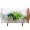 Teat Sight Preserved Flower Flower Bottle Gift Box Soleil (Rose,