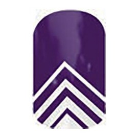 Jamberry Nail Wrap - Arrowhead (RETIRED)
