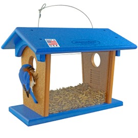 DutchCrafters Hanging Bluebird Feeder for Mealworms with 1 1/2" Entrance Hole, Outdoor Live or Dried Mealworm Feeder for Bluebirds - Amish USA Made (Blue & Cedar)