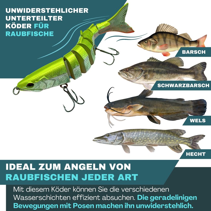 Predator Fishing Bait Set Efficient and Independent [+ High Quality]