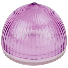 Tulz Canned-and-Jarred-Onions, 4 x 4 x 3.5 inches, Purple, (37051)