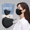 Arte Beak-shaped Mask KF94 Non-medical Product Individually Packaged Black 100