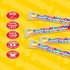 Atkinson's Rainbow Twist Sticks - Cherry Flavored Rainbow Candy Sticks