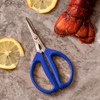 JOYCE CHEN Original Unlimited Kitchen Scissors, One Size, Blue