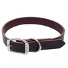 Coastal Pet - Circle T - Latigo Leather Town Dog