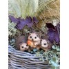 Objectz Hedgehog Group with Toadstool Table or Garden Decoration, Beautiful