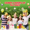The Freeze Dried Candy Store Shell Shock Variety Pack 4