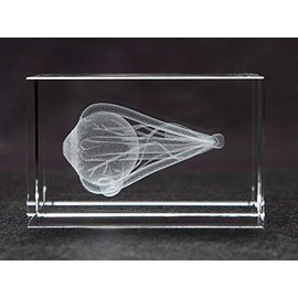 Eye 3D Laser 10lb Crystal, Anatomy, Ophthalmology