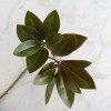 Factory Direct Craft Artificial Magnolia Leaf Spray | for Indoor