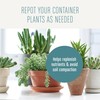 Miracle-Gro Succulent Potting Mix, For Indoor Succulents, Aloe Vera and
