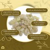 Superior Hojari Frankincense White from Oman - Boswellia Sacra -
