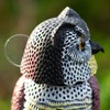 Woodside Large Realistic Owl Decoy With Rotating Head Bird/Pigeon/Crow Scarer