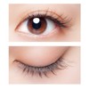 Cozy Honpo 3DEYES Eyelashes 09 Clear Accent False Eyelashes 09