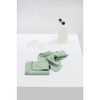 Brabantia 2 paños de Limpieza de Microfibra (Verde Jade) absorbentes