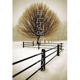 Solitude - Poster by David Lorenz Winston (11 x 14)