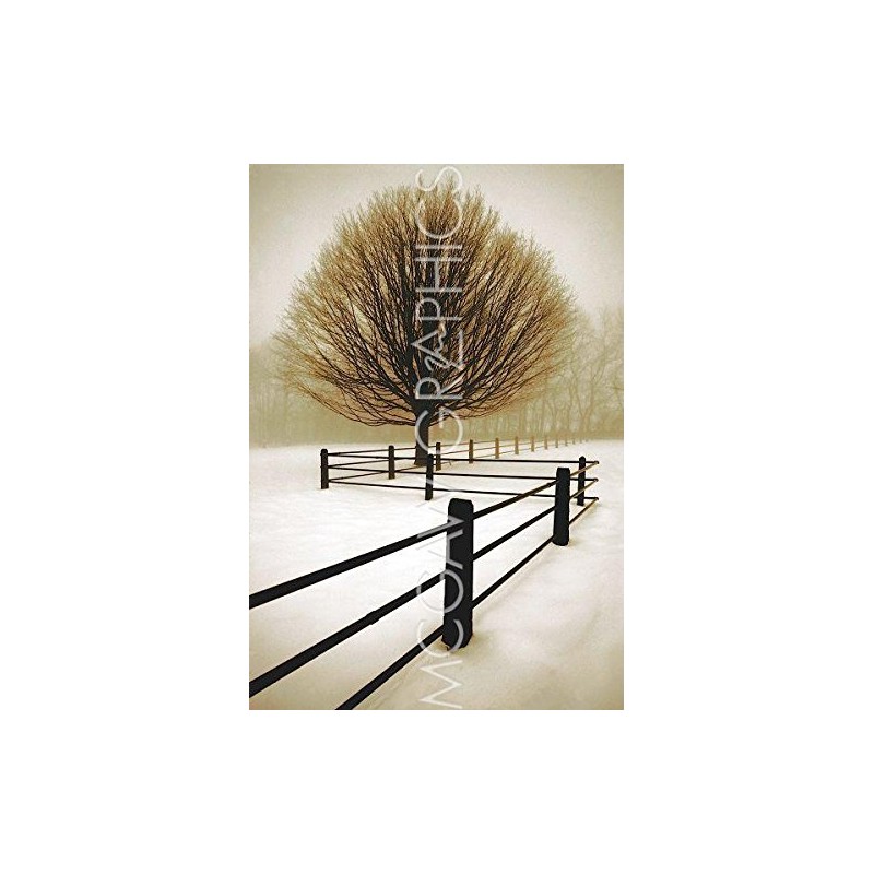 Solitude - Poster by David Lorenz Winston (11 x 14)