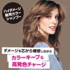 【got2b】Bonding Color Shampoo Milk Tea (Color Shampoo for Highly Damaged